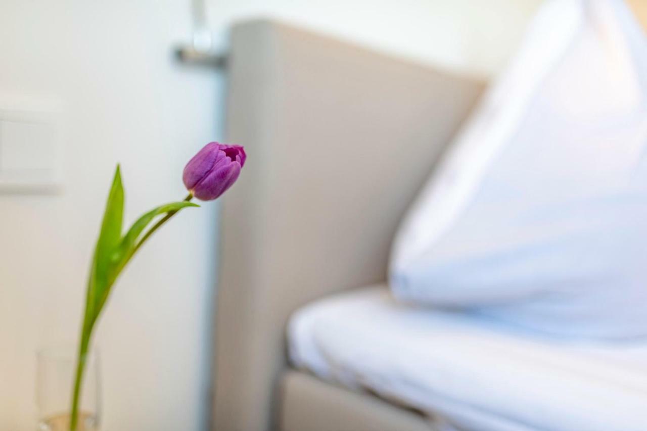 Treibgut Apartman Olpenitz Kültér fotó